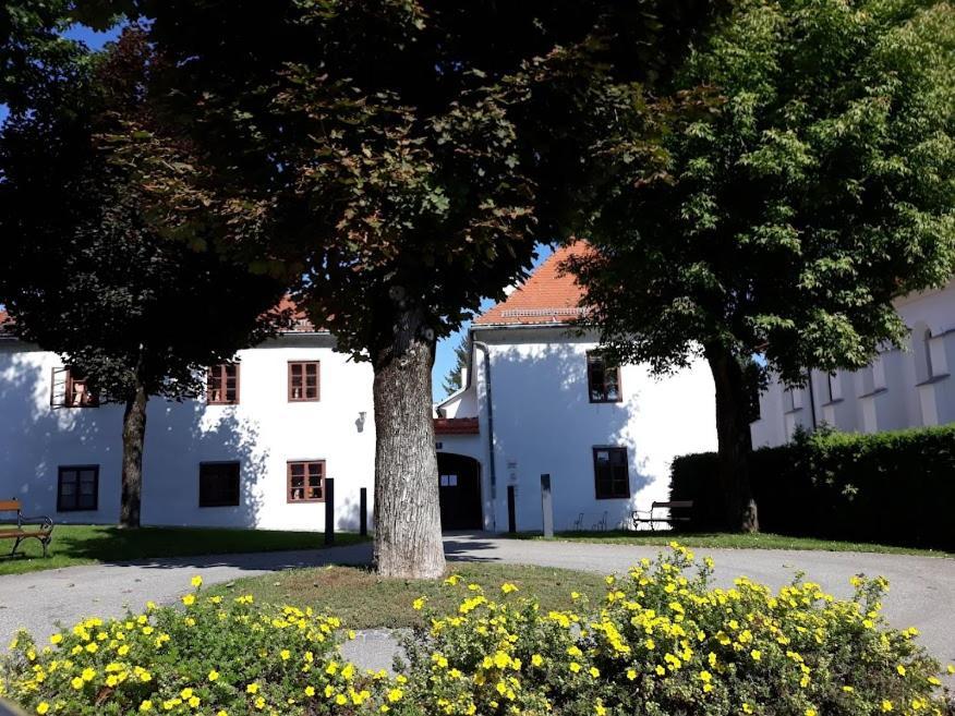 Lounge-Style-Hostel Sankt Veit an der Glan Eksteriør bilde